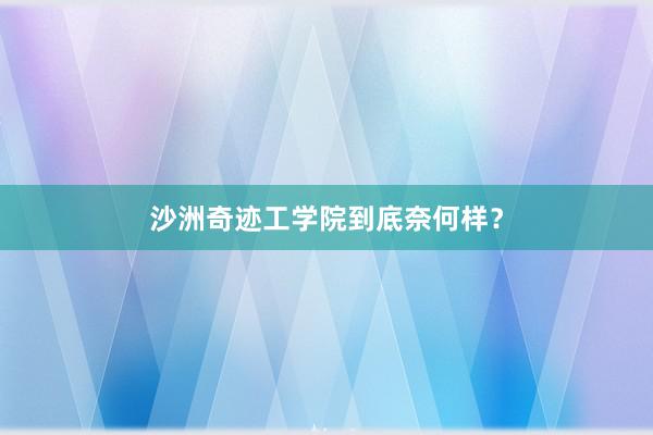 沙洲奇迹工学院到底奈何样？