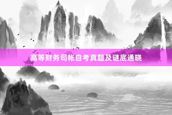 高等财务司帐自考真题及谜底通晓