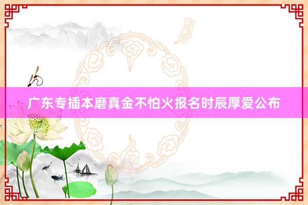 广东专插本磨真金不怕火报名时辰厚爱公布