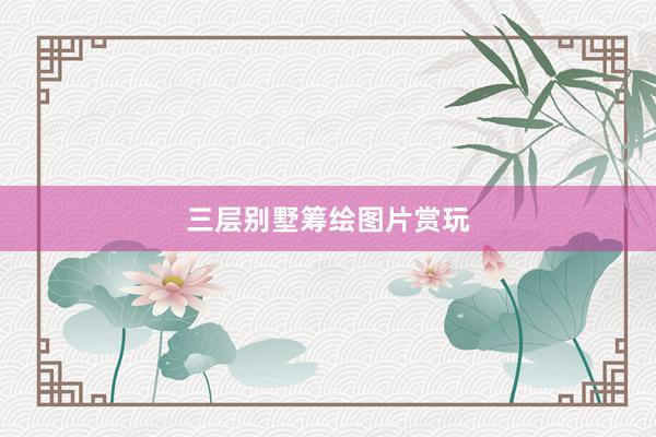 三层别墅筹绘图片赏玩