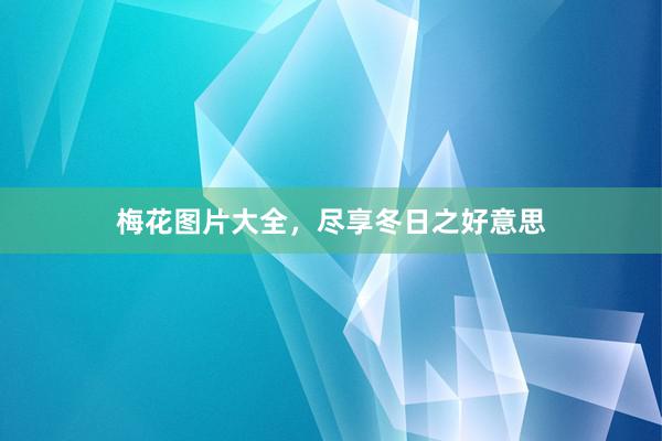梅花图片大全，尽享冬日之好意思