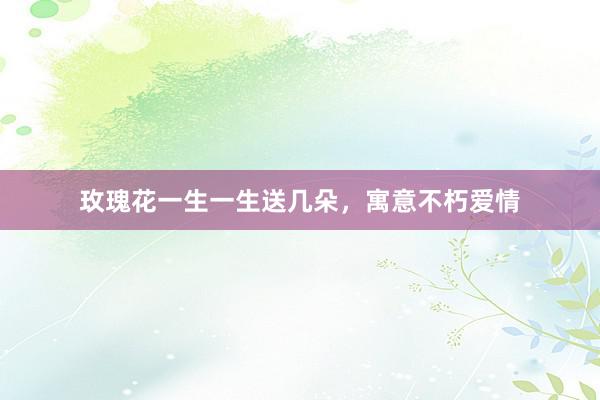 玫瑰花一生一生送几朵，寓意不朽爱情
