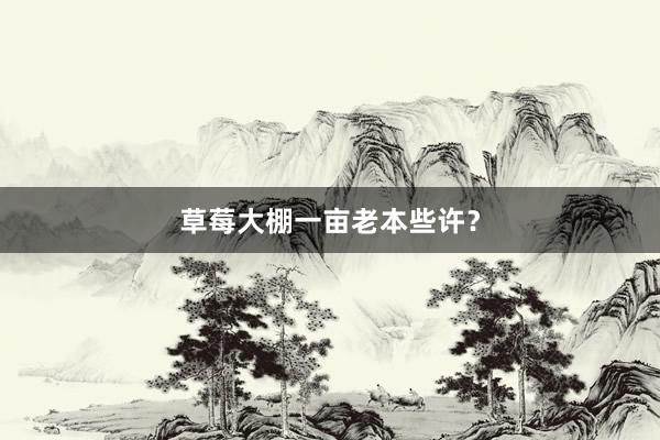 草莓大棚一亩老本些许？